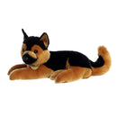 German Shepherd - Miyoni