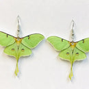 Acrylic Luna Moth Earrings Transformation