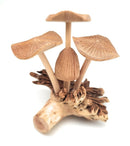 Wooden Mushroom 3 Flat 1 Cap Head