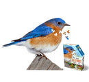 I Am Bluebird 300