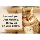 I Missed You. Just Kidding. I Threw Up On Your Pillow Magnet