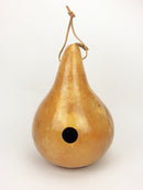 Small Gourd Seeded Birdhouse