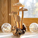 Wooden Mushroom 3 Large Flat 1 Cap Head Pin Hole Top