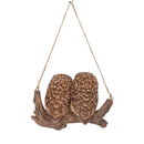 Hanging Baby Owlets On A Branch