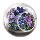 Tiny Terrarium - Flowering