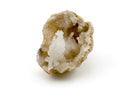 Cystoid Geode Fossil Piece