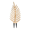 Bare Palmella