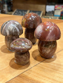 Petrified Wood Mushroom