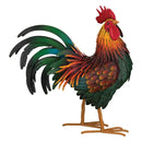 Rhode Island Red Rooster - MED
