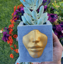 Pandora Planter - Blue & Gold