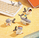 Sharkitty Blind Box
