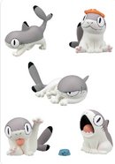 Sharkitty Blind Box