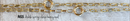 Double Spring Clasp Heavy Oval Necklace