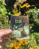 Brat Sticker