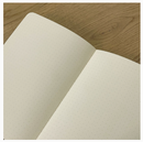 "Strange Ideas & Impure Thoughts" Journal
