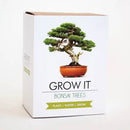 Grow It - Bonsai Trees