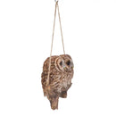 Hanging Baby Owlets On A Branch