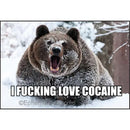 I Fucking Love Cocaine Magnet