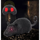 RC Rat