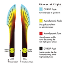 Plasma Crave MVP Disc