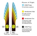 Cosmic Neutron Envy Axiom Disc