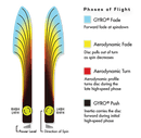 Neutron Fireball Axiom Disc
