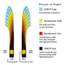 Neutron Motion MVP Disc