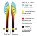 Neutron Photon MVP Disc