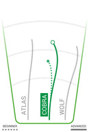 DX Cobra Innova Disc