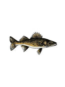 Walleye Freshwater Fish Decal