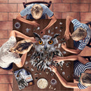 I Am Owl