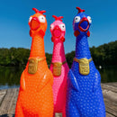 Squeeze Me Chicken - Assorted