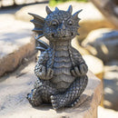 Small Garden Dragon Meditating