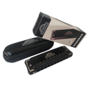 Roundhouse Harmonica Mouth Organ in C