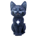 Teehee Cat