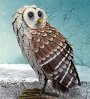 Barn Owl Standing