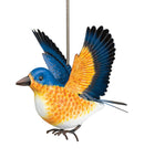 Blue Bird Bouncie