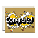 The Rainbow Vision Greeting Cards (Native Bear)