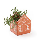 Vasanta Terracotta Planter with Drainage - House