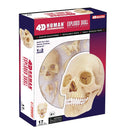 Human Exploded Skull - 4D