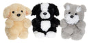 Teddy Dogs