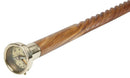 Compass Walking Stick