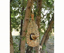 Songbird Essentials Songbird Grass Teardrop Birdhouse