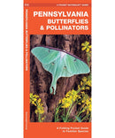Pennsylvania Butterflies & Pollinators