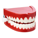 Toysmith Wind Up Chattering Teeth