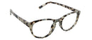Canyon Gray Tortoise Peepers