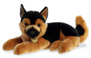German Shepherd - Miyoni