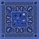 Paisley Tracks Bandana